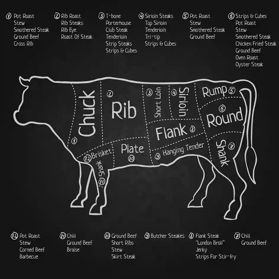 Anatomy of beef back ribs with labeled parts.